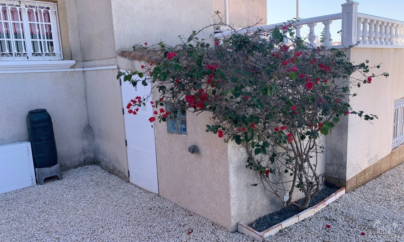 Venta - Villa - Orihuela - Villamartin
