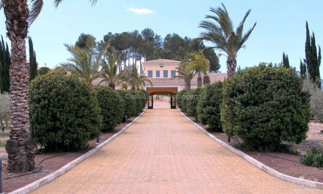 Venta - Villa - Penaguila - Penaguila Centro