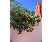 Venta - Villa - Pilar de La Horadada - Torre de la Horadada