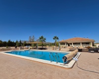 Venta - Villa - Pinoso - Inland