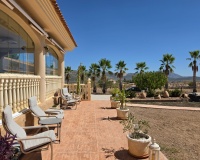 Venta - Villa - Pinoso - Inland