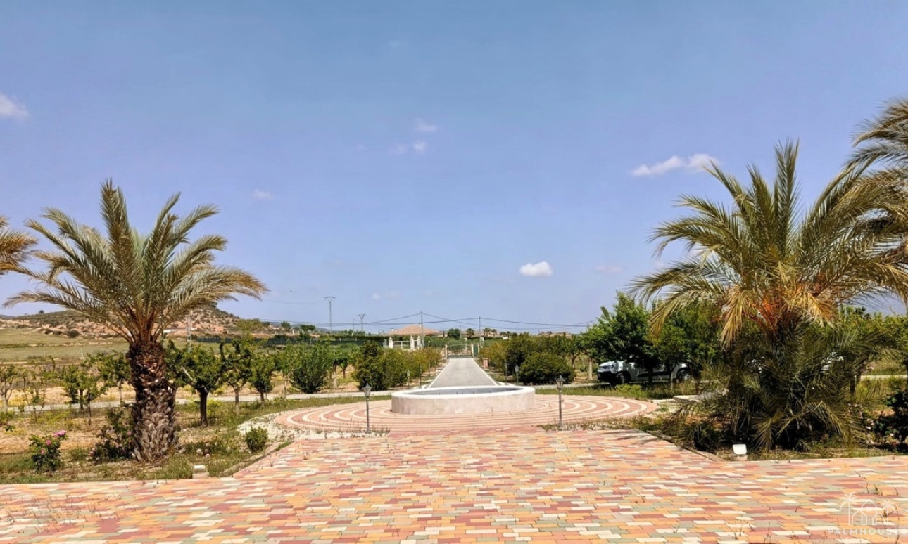 Venta - Villa - Pinoso - Pinoso Centro