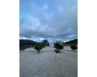 Venta - Villa - Pinoso - Pinoso Centro