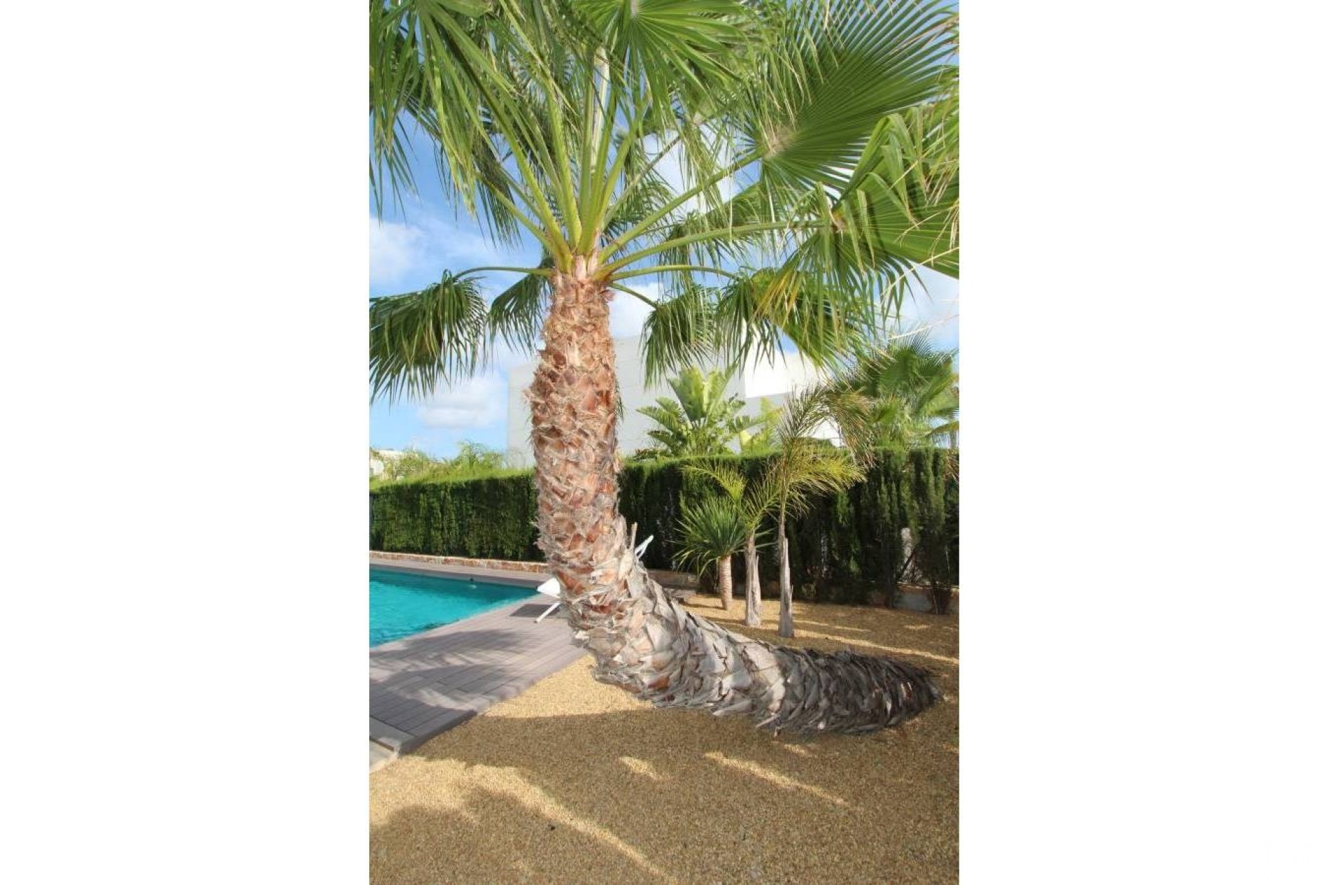Venta - Villa - Rojales - Ciudad Quesada