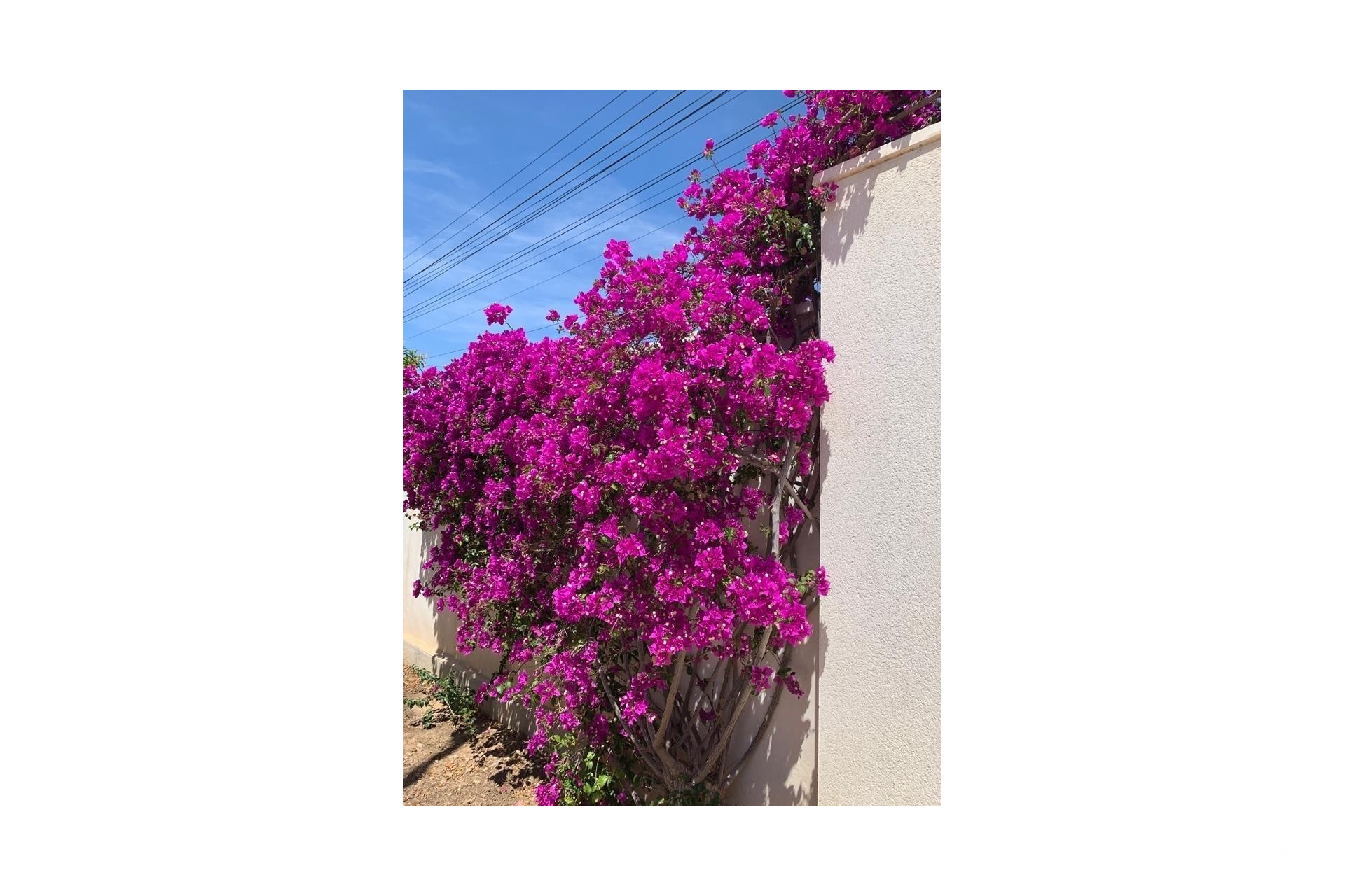 Venta - Villa - Rojales - Ciudad Quesada