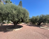 Venta - Villa - Rojales - Ciudad Quesada