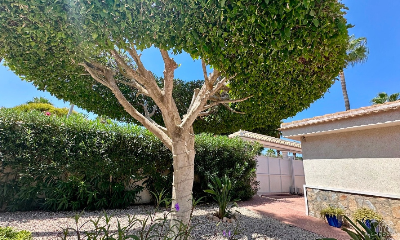 Venta - Villa - Rojales - Ciudad Quesada