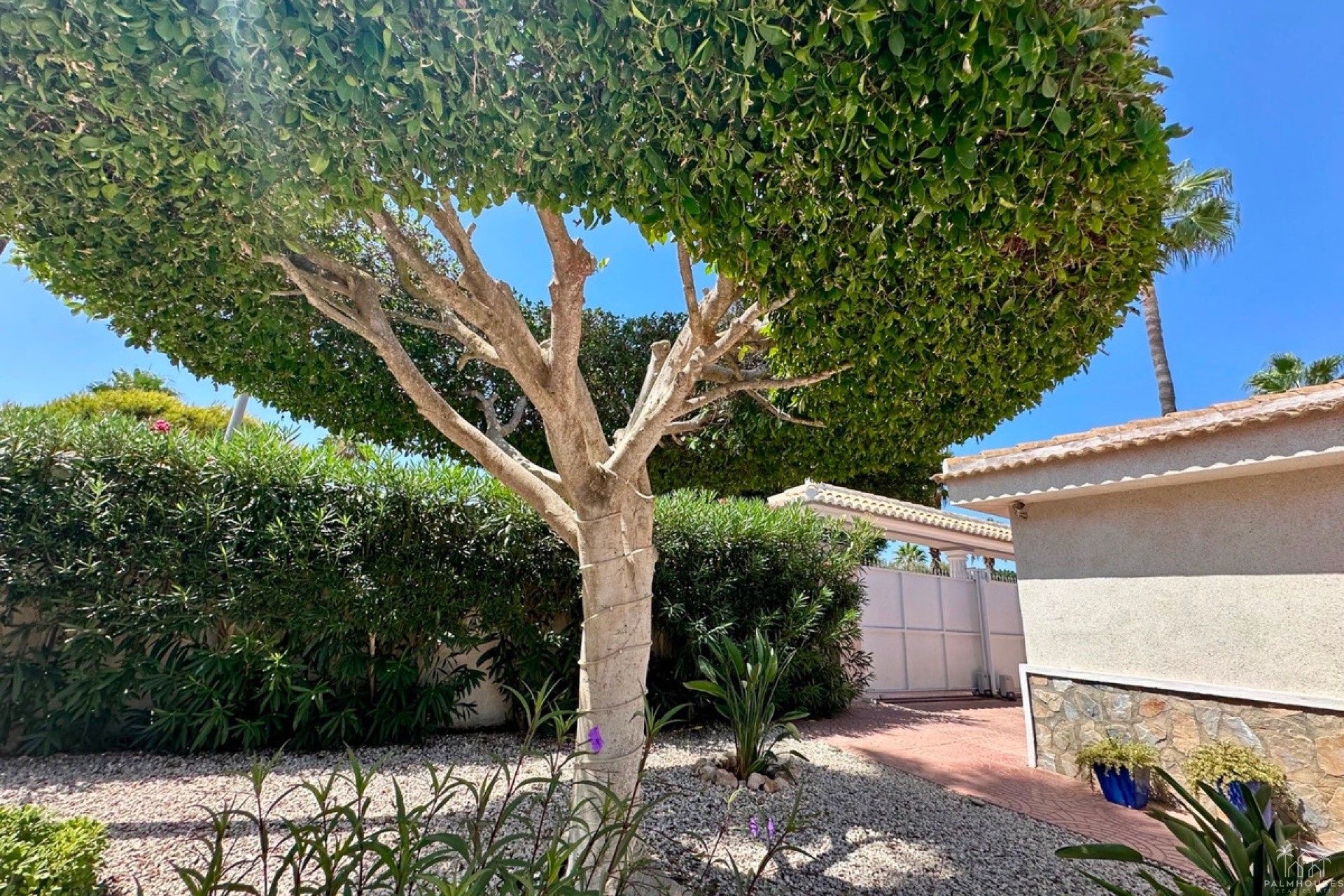 Venta - Villa - Rojales - Ciudad Quesada