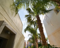 Venta - Villa - Rojales - Ciudad Quesada