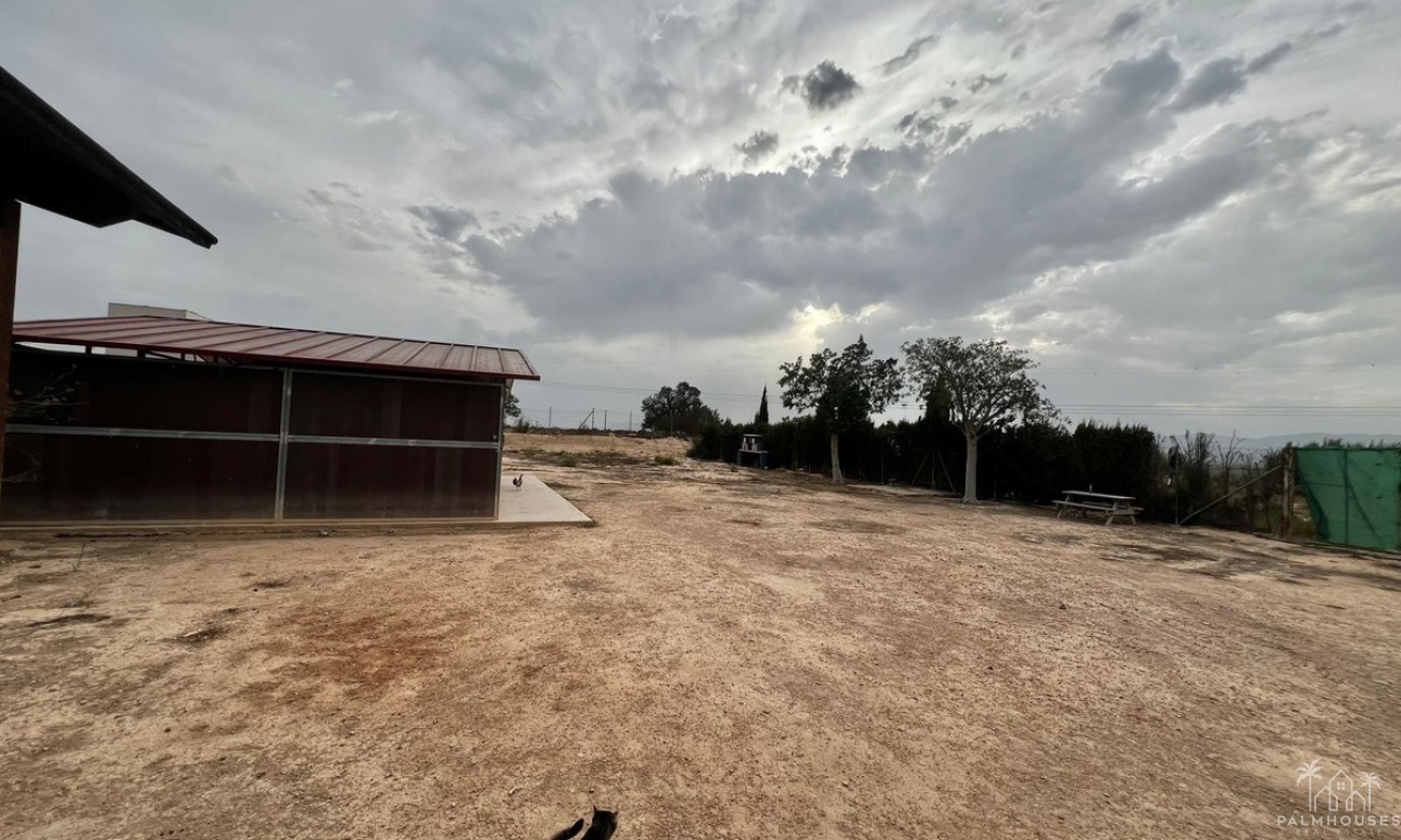 Venta - Villa - San Fulgencio - San Fulgencio Centro