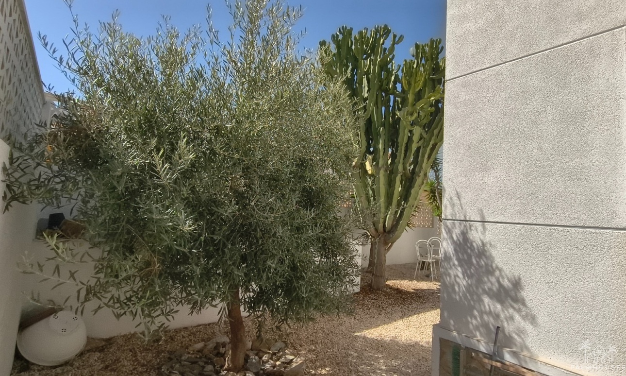 Venta - Villa - San Miguel de Salinas - Blue Lagoon