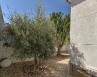 Venta - Villa - San Miguel de Salinas - Blue Lagoon