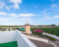 Venta - Villa - San Miguel de Salinas - Inland
