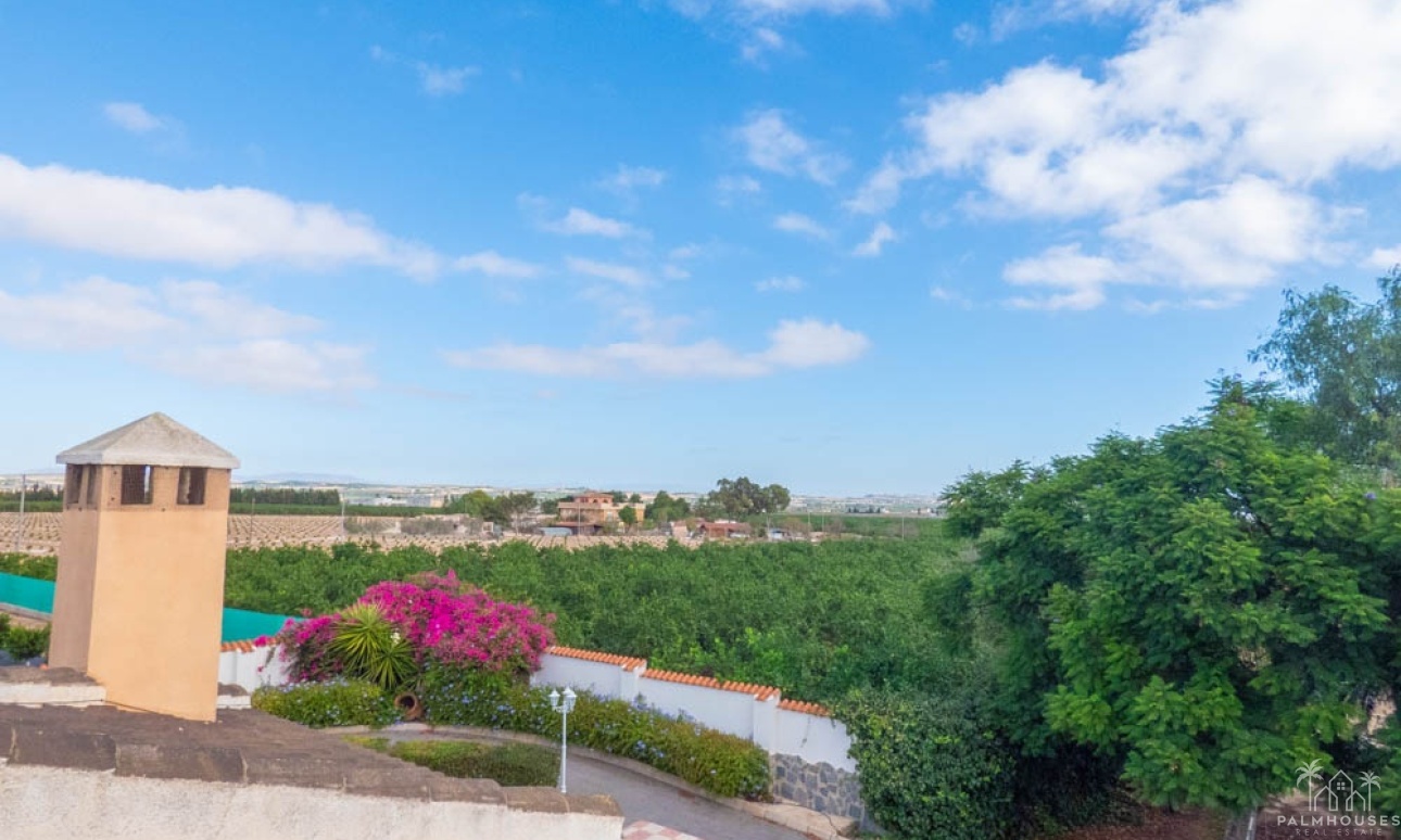 Venta - Villa - San Miguel de Salinas - Inland
