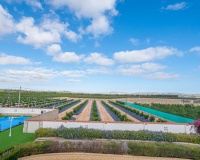 Venta - Villa - San Miguel de Salinas - Inland