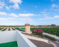 Venta - Villa - San Miguel de Salinas - Inland