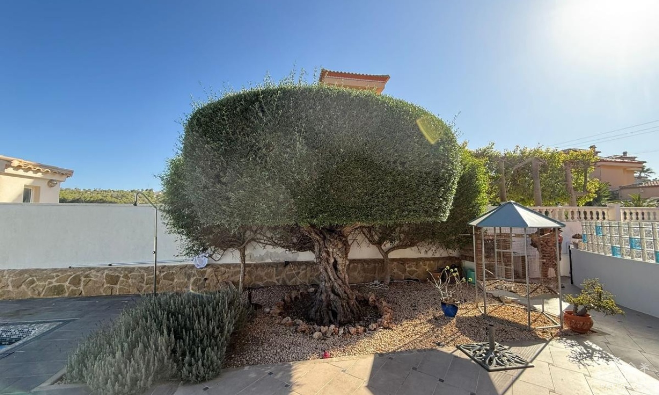 Venta - Villa - San Miguel de Salinas - San Miguel de Salinas Centro