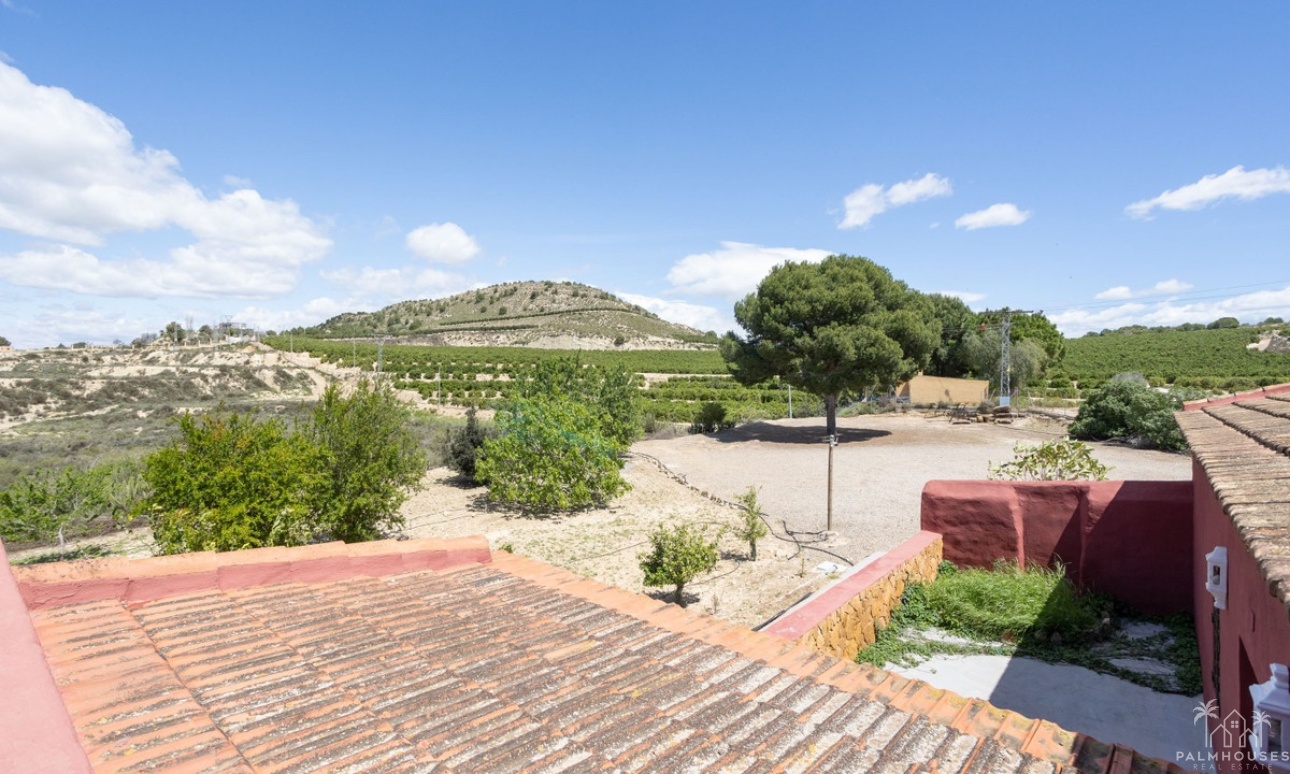 Venta - Villa - San Miguel de Salinas - San Miguel de Salinas Centro