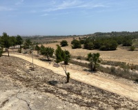 Venta - Villa - San Miguel de Salinas - San Miguel