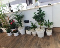Venta - Villa - San Pedro del Pinatar - Center