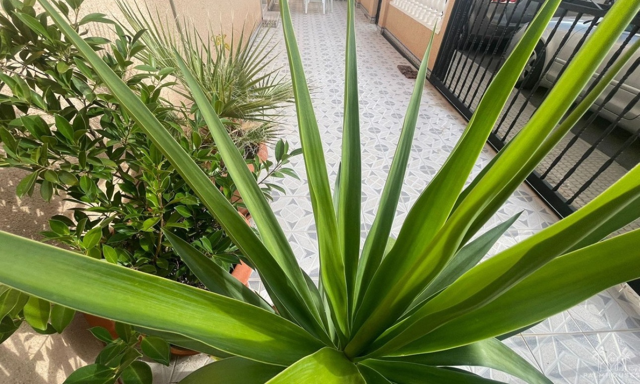 Venta - Villa - San Pedro del Pinatar - Lo Pagan