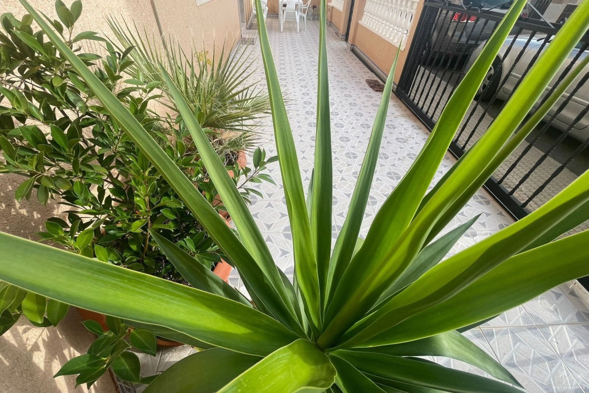 Venta - Villa - San Pedro del Pinatar - Lo Pagan