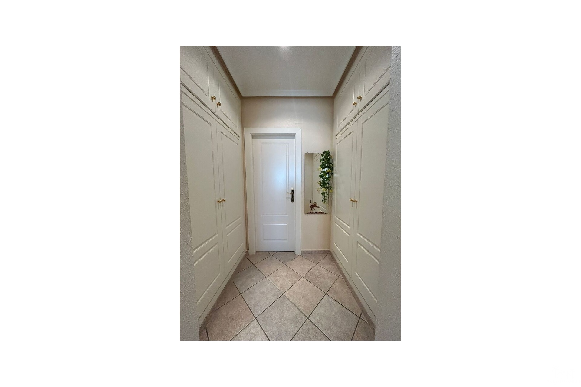 Venta - Villa - Torrevieja - Aguas Nuevas