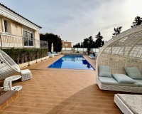 Venta - Villa - Torrevieja - Costa Blanca