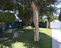 Venta - Villa - Torrevieja - Costa Blanca