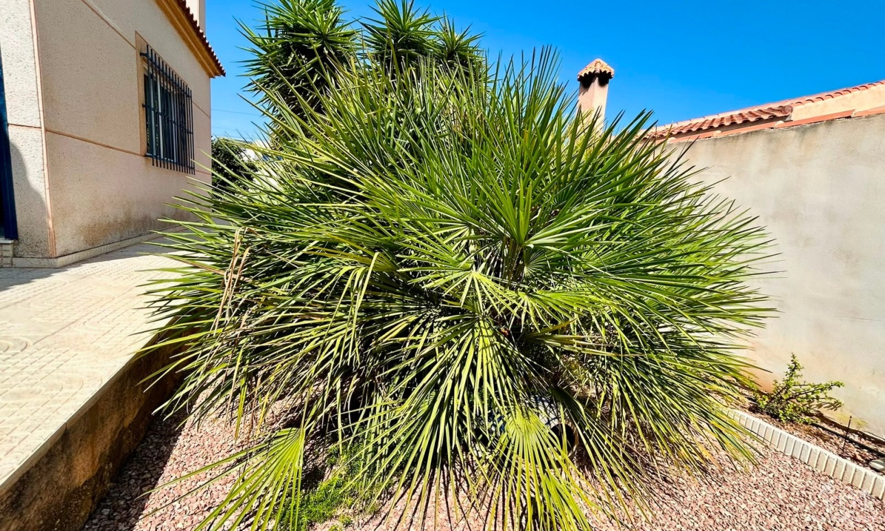 Venta - Villa - Torrevieja - Costa Blanca