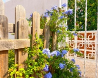 Venta - Villa - Torrevieja - La Mata