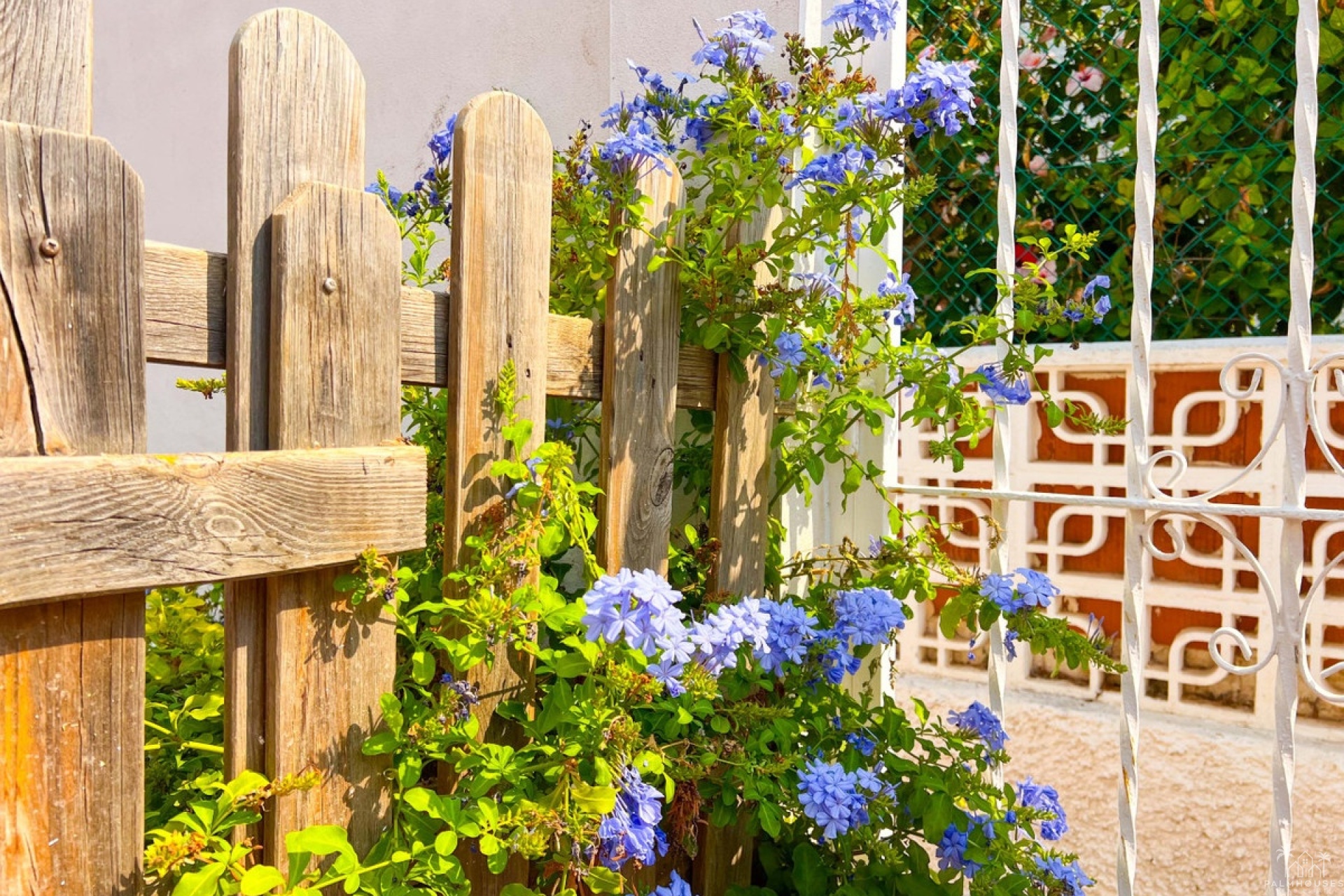 Venta - Villa - Torrevieja - La Mata