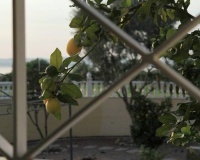 Venta - Villa - Torrevieja - La Siesta