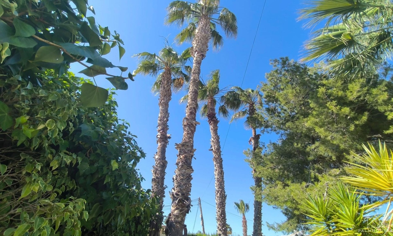 Venta - Villa - Torrevieja - La Siesta