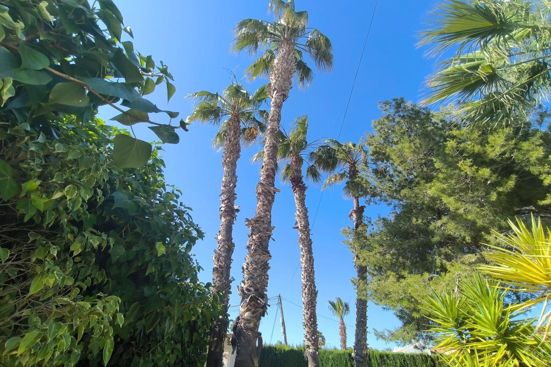 Venta - Villa - Torrevieja - La Siesta