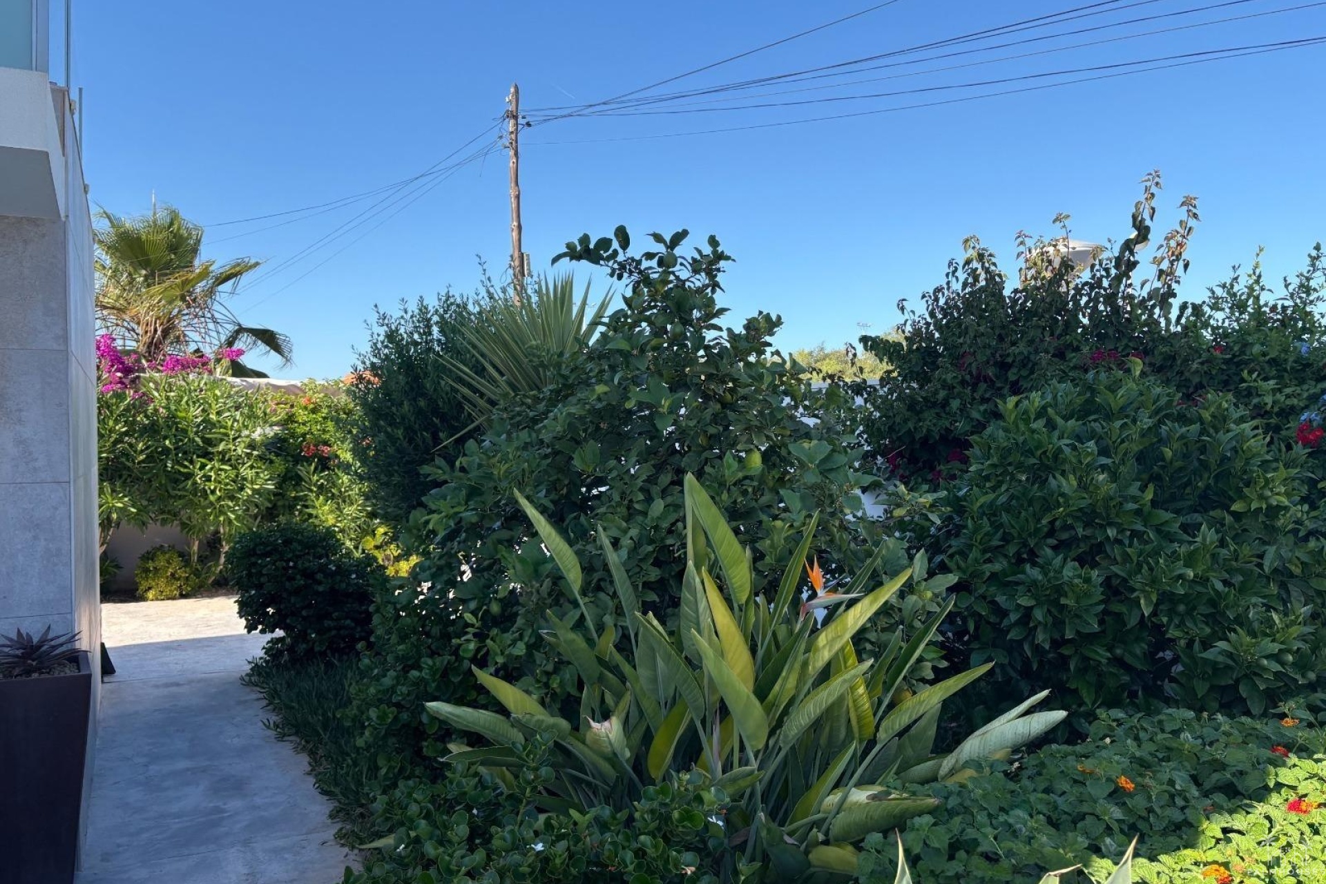 Venta - Villa - Torrevieja - La Siesta