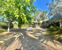 Venta - Villa - Torrevieja - Los Balcones