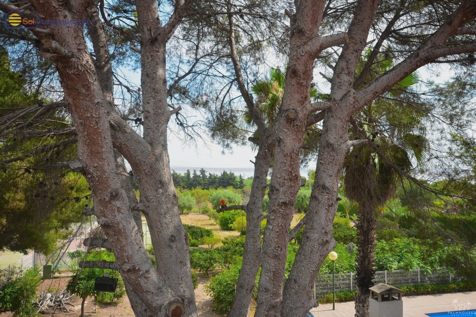 Venta - Villa - Torrevieja - Los Balcones