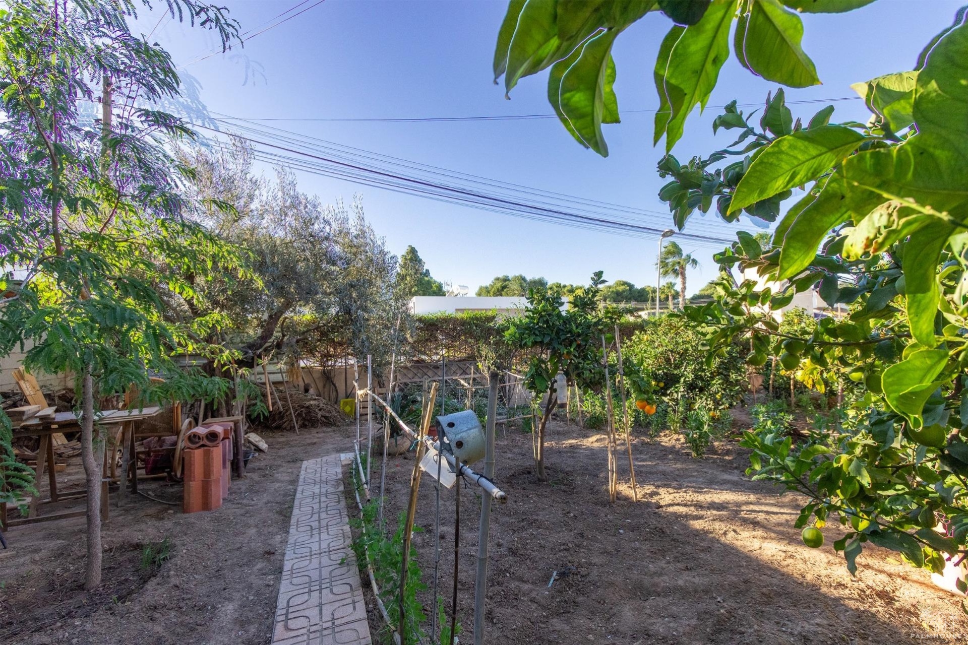 Venta - Villa - Torrevieja - Los Balcones