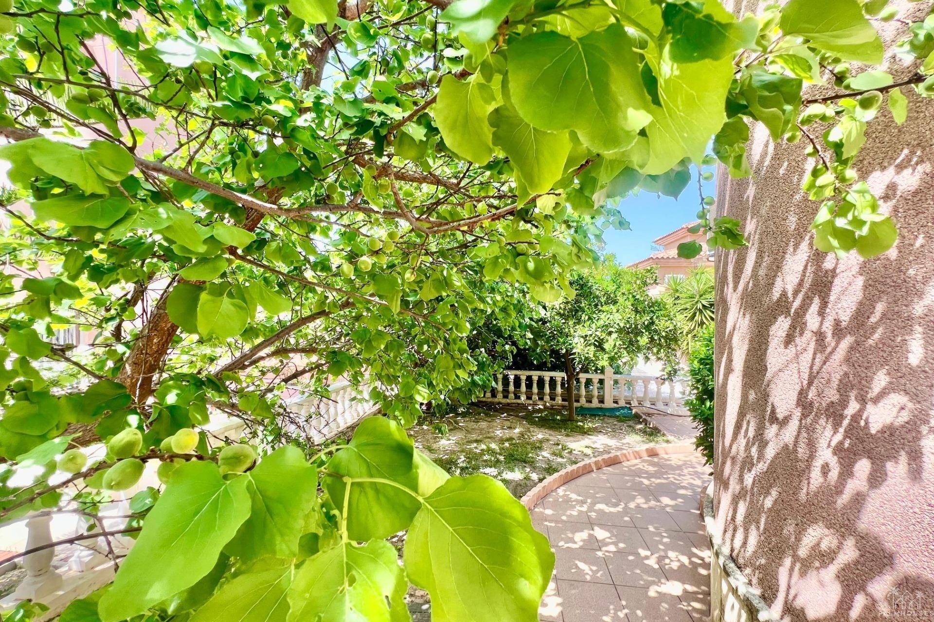 Venta - Villa - Torrevieja - Los Balcones