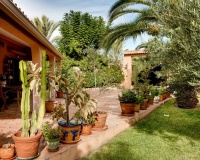 Venta - Villa - Torrevieja - San Luis
