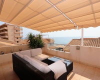 Venta - Villa - Torrevieja - Torrevieja Centro