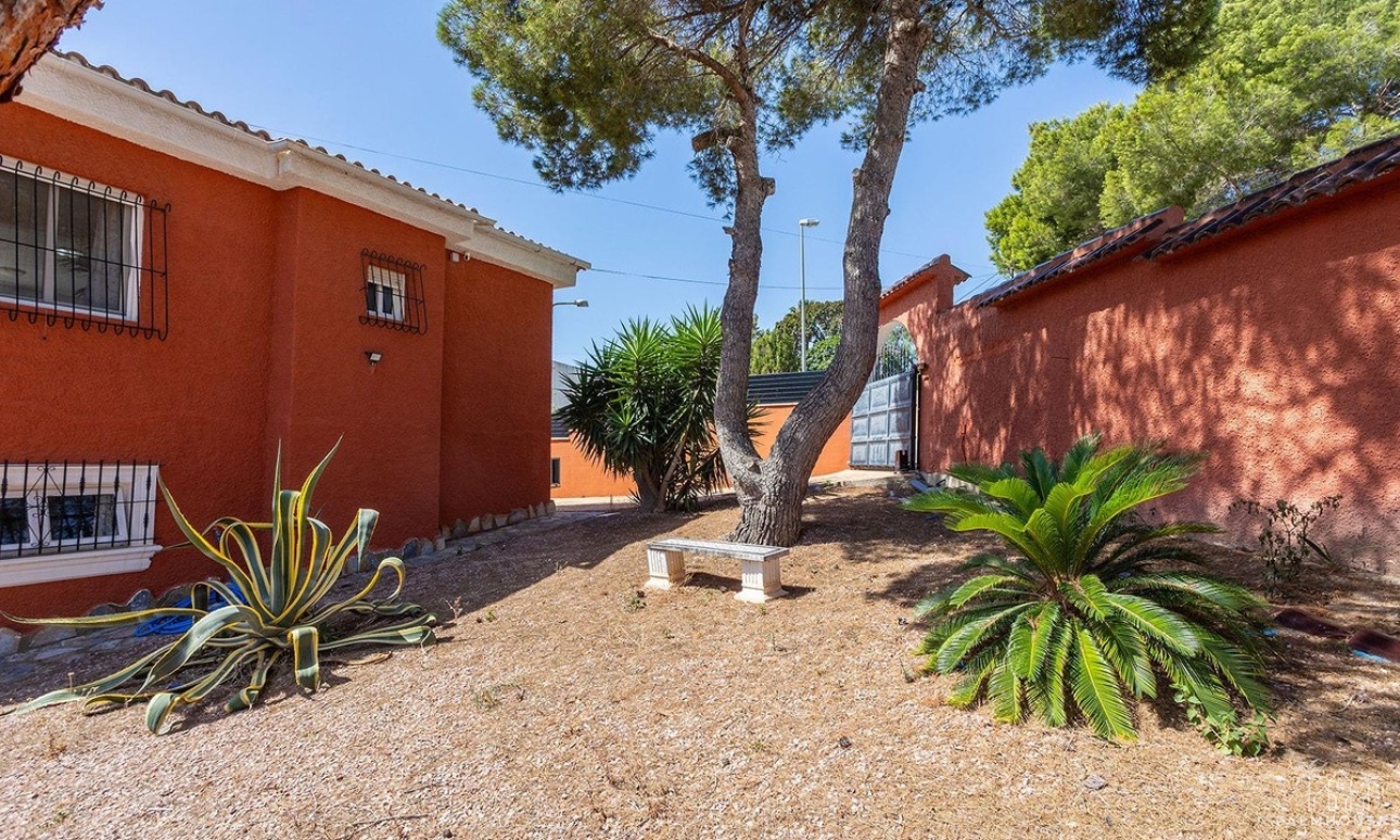 Venta - Villa - Torrevieja - Torrevieja Centro