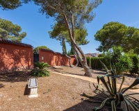 Venta - Villa - Torrevieja - Torrevieja Centro
