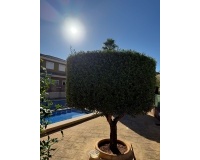 Venta - Villa - Vergel (El Vergel) - El Verger - Vergel (El Vergel) - El Verger Centro