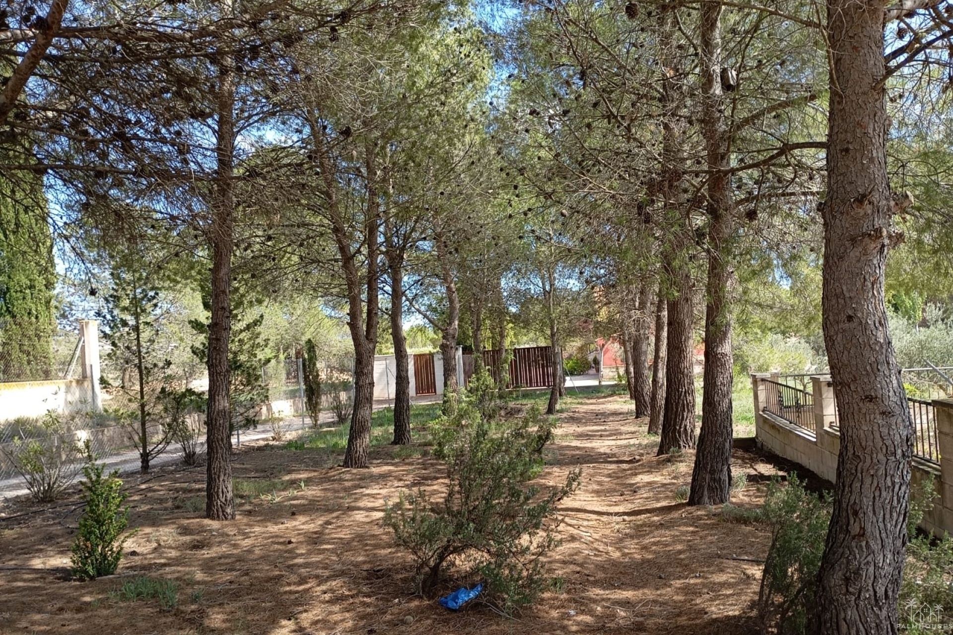 Venta - Villa - Yecla - Inland