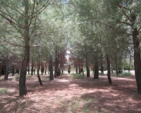 Venta - Villa - Yecla - Yecla Centro