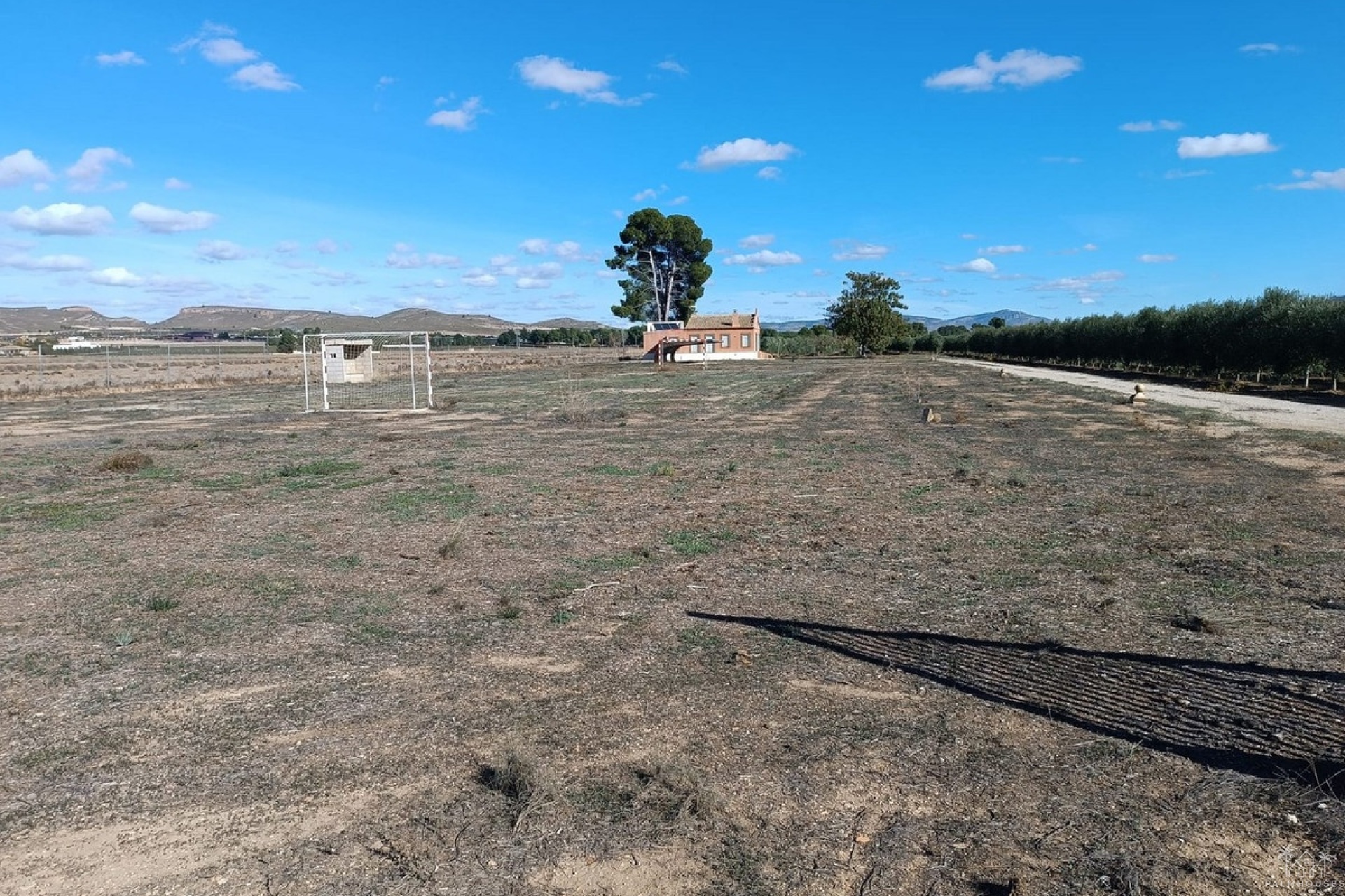 Venta - Villa - Yecla - Yecla Centro
