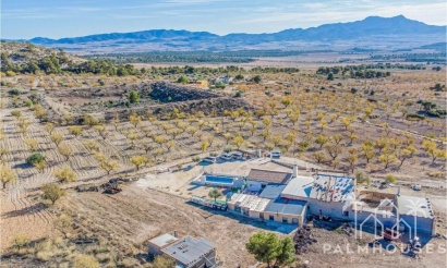 Villa - Herverkoop - Jumilla - Inland
