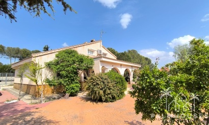 Villa - Herverkoop - Yecla - Inland